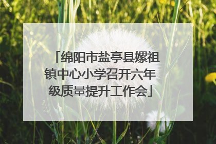 绵阳市盐亭县嫘祖镇中心小学召开六年级质量提升工作会