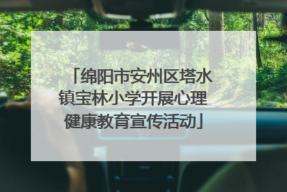 绵阳市安州区塔水镇宝林小学开展心理健康教育宣传活动