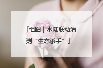 组图｜水陆联动清剿“生态杀手”