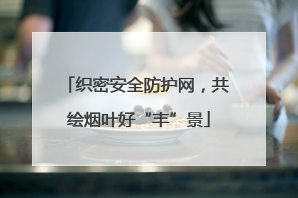 织密安全防护网，共绘烟叶好“丰”景