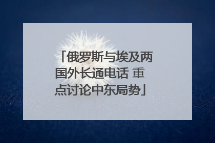 俄罗斯与埃及两国外长通电话 重点讨论中东局势
