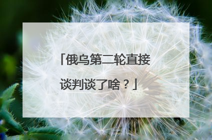 俄乌第二轮直接谈判谈了啥？
