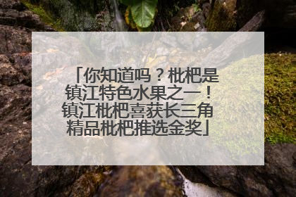 你知道吗？枇杷是镇江特色水果之一！镇江枇杷喜获长三角精品枇杷推选金奖