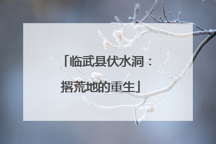 临武县伏水洞：撂荒地的重生