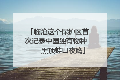 临沧这个保护区首次记录中国独有物种——黑顶蛙口夜鹰