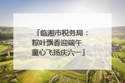 临湘市税务局：粽叶飘香迎端午 童心飞扬庆六一