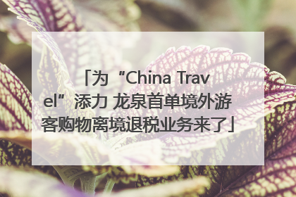 为“China Travel”添力 龙泉首单境外游客购物离境退税业务来了