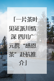 一片茶叶见证浙川情深 四川广元携“感恩茶”赴杭推介