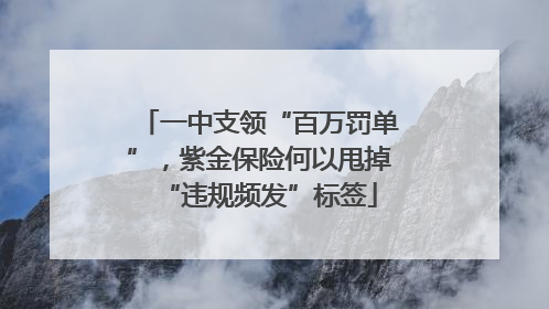 一中支领“百万罚单”，紫金保险何以甩掉“违规频发”标签
