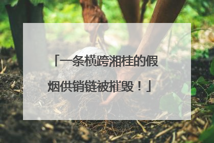 一条横跨湘桂的假烟供销链被摧毁！