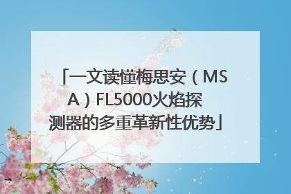 一文读懂梅思安（MSA）FL5000火焰探测器的多重革新性优势