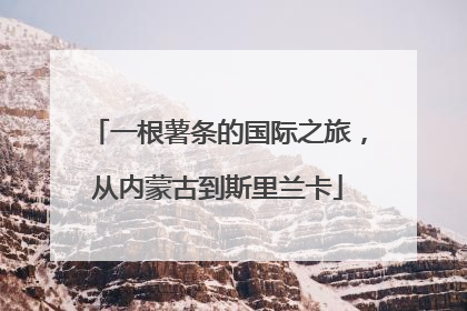 一根薯条的国际之旅，从内蒙古到斯里兰卡