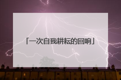 一次自我耕耘的回响