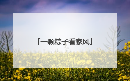 一颗粽子看家风