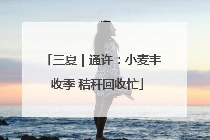 三夏｜通许：小麦丰收季 秸秆回收忙