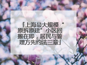 上海最大规模“原拆原建”小区回搬在即，居民与管理方先约法三章