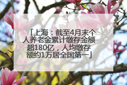 上海：截至4月末个人养老金累计缴存金额超180亿，人均缴存额约1万居全国第一