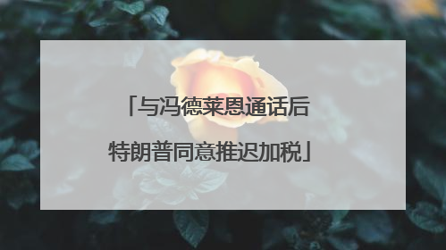 与冯德莱恩通话后 特朗普同意推迟加税