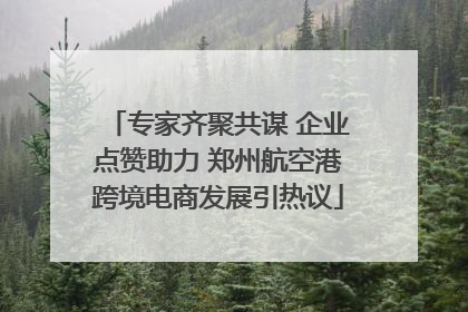 专家齐聚共谋 企业点赞助力 郑州航空港跨境电商发展引热议