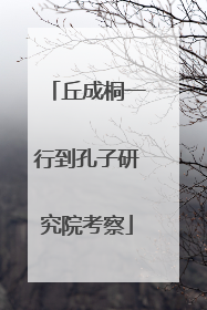 丘成桐一行到孔子研究院考察