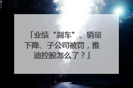 业绩“刹车”、销量下降、子公司被罚，雅迪控股怎么了？