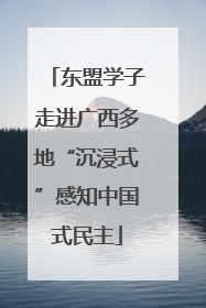 东盟学子走进广西多地“沉浸式”感知中国式民主