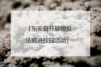 东安县开展模拟法庭进校园活动