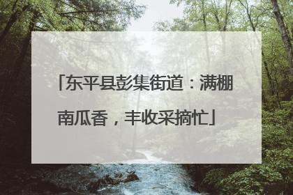 东平县彭集街道：满棚南瓜香，丰收采摘忙