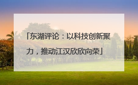 东湖评论：以科技创新聚力，推动江汉欣欣向荣