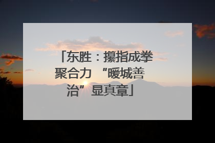 东胜：攥指成拳聚合力 “暖城善治”显真章