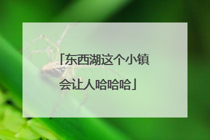 东西湖这个小镇会让人哈哈哈