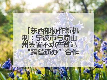 东西部协作新机制：宁波市与凉山州签署不动产登记“跨省通办”合作框架协议