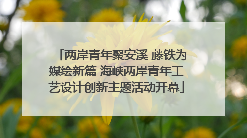 两岸青年聚安溪 藤铁为媒绘新篇 海峡两岸青年工艺设计创新主题活动开幕