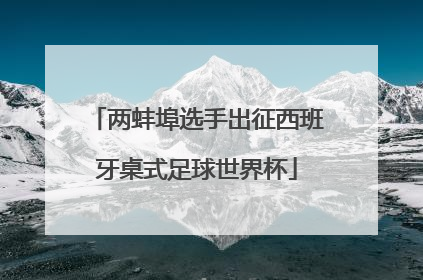 两蚌埠选手出征西班牙桌式足球世界杯