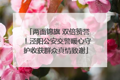 两面锦旗 双倍赞誉！泾阳公安交警暖心守护收获群众真情致谢