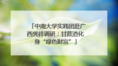 中南大学实践团赴广西凭祥调研：甘蔗渣化身“绿色财富”