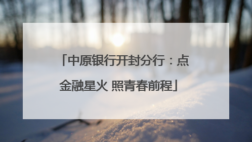 中原银行开封分行：点金融星火 照青春前程