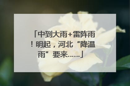 中到大雨+雷阵雨！明起，河北“降温雨”要来……