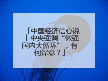 中国经济信心说丨中央强调“做强国内大循环”，有何深意？