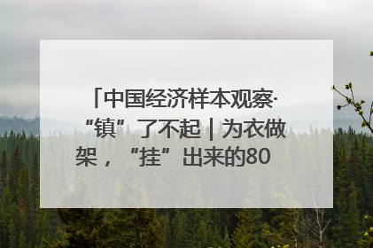 中国经济样本观察·“镇”了不起｜为衣做架，“挂”出来的80亿元“衣架产业”