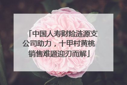 中国人寿财险涟源支公司助力，十甲村黄桃销售难题迎刃而解