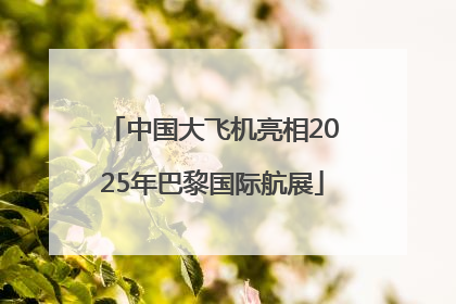 中国大飞机亮相2025年巴黎国际航展