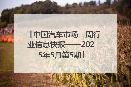 中国汽车市场一周行业信息快报——2025年5月第5期