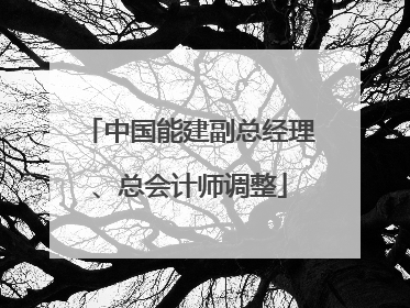 中国能建副总经理、总会计师调整