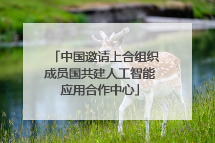 中国邀请上合组织成员国共建人工智能应用合作中心
