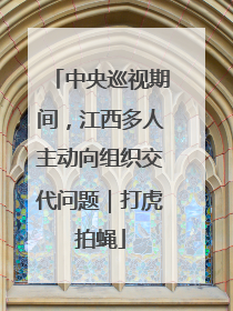 中央巡视期间，江西多人主动向组织交代问题｜打虎拍蝇