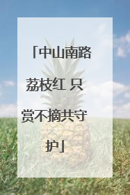 中山南路荔枝红 只赏不摘共守护