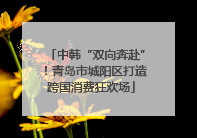 中韩“双向奔赴”！青岛市城阳区打造跨国消费狂欢场