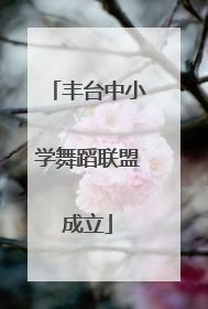 丰台中小学舞蹈联盟成立