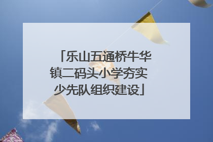 乐山五通桥牛华镇二码头小学夯实少先队组织建设